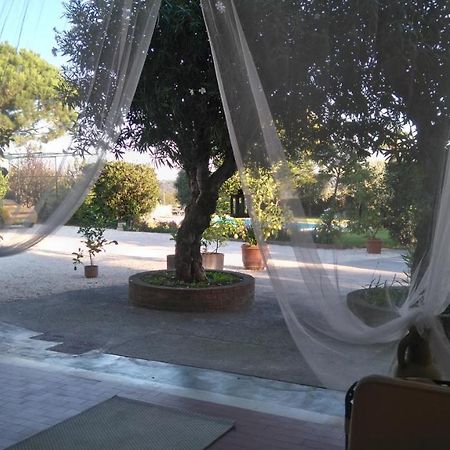 Il Gelso Di Barcuzzi Bed & Breakfast Лонато Екстериор снимка
