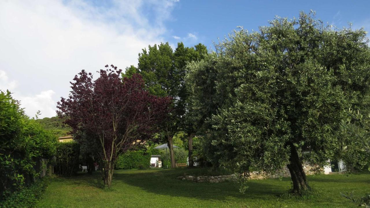 Il Gelso Di Barcuzzi Bed & Breakfast Лонато Екстериор снимка