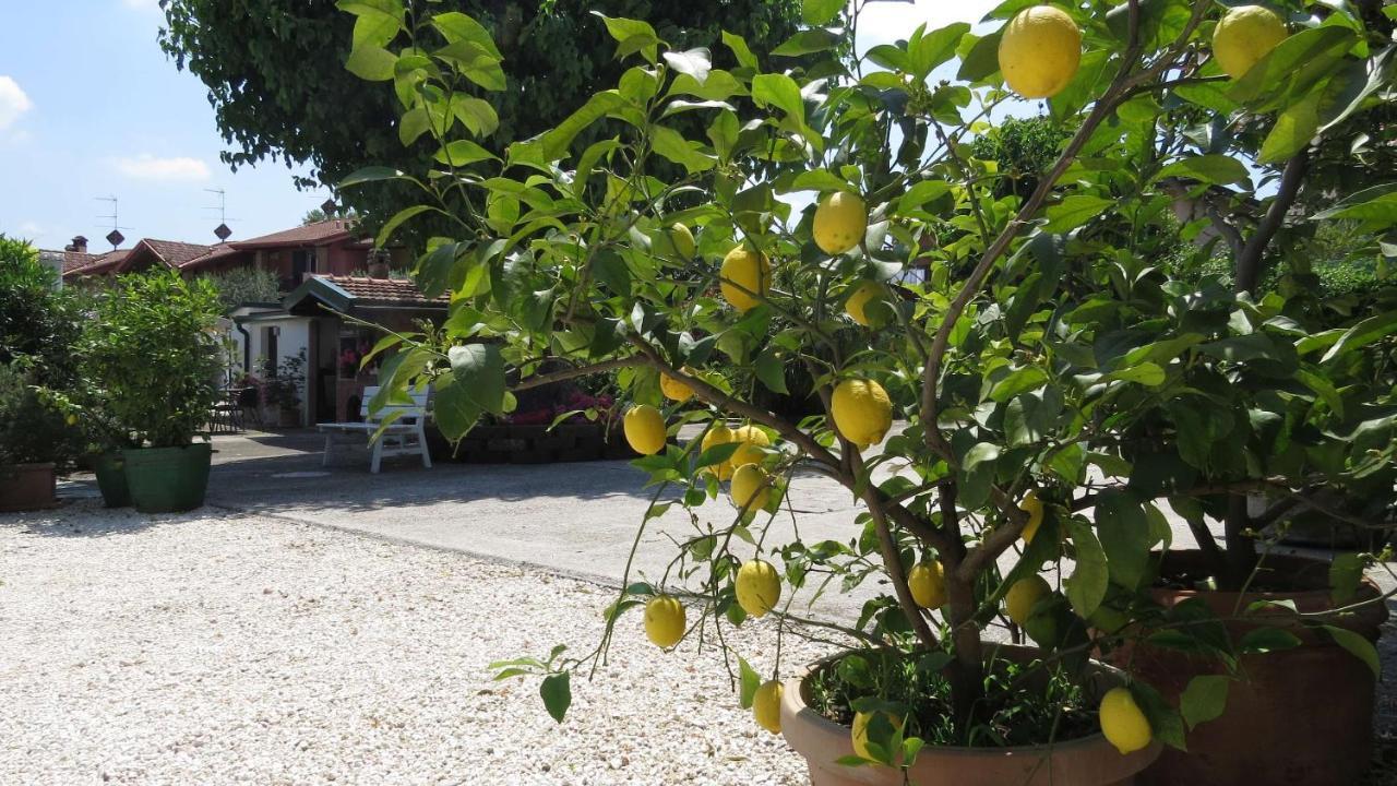 Il Gelso Di Barcuzzi Bed & Breakfast Лонато Екстериор снимка