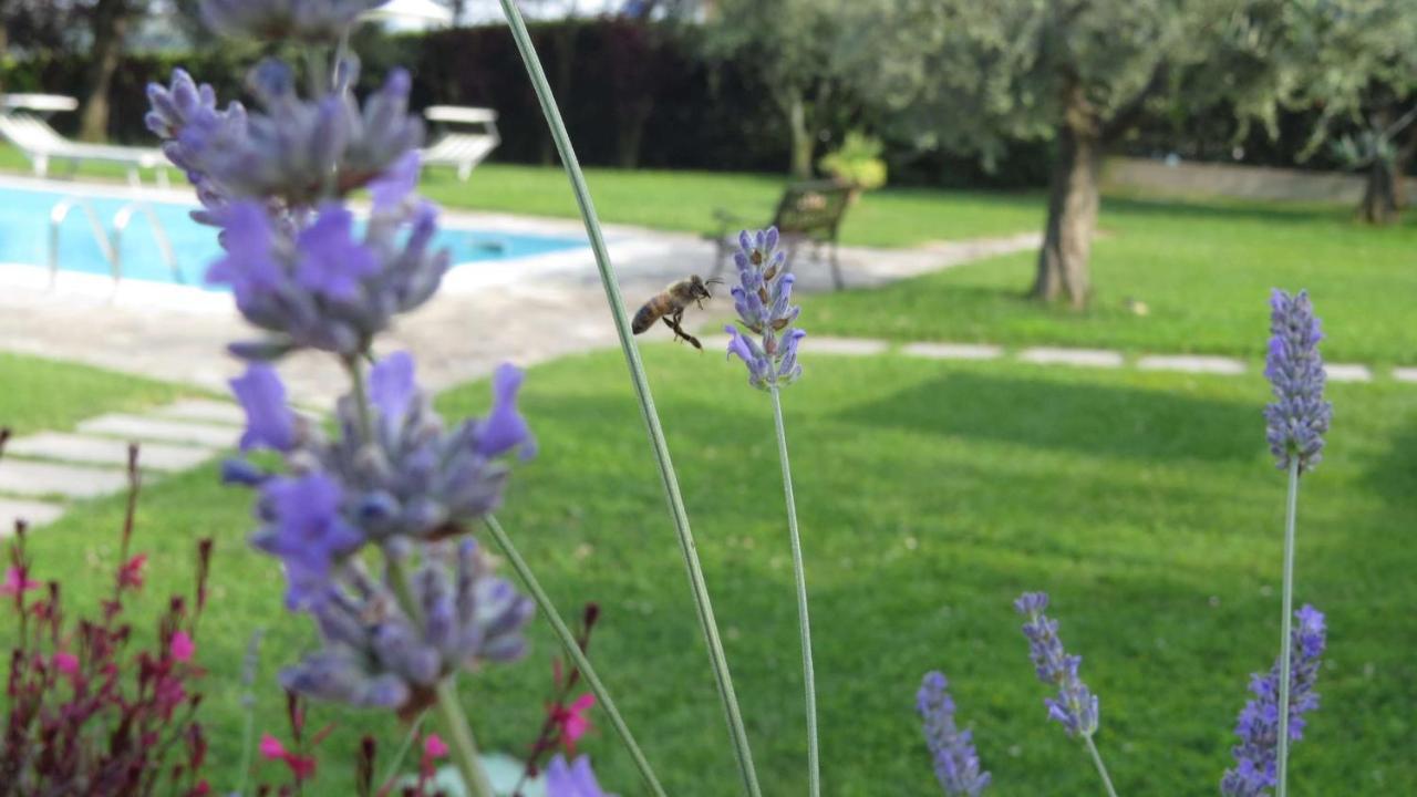 Il Gelso Di Barcuzzi Bed & Breakfast Лонато Екстериор снимка
