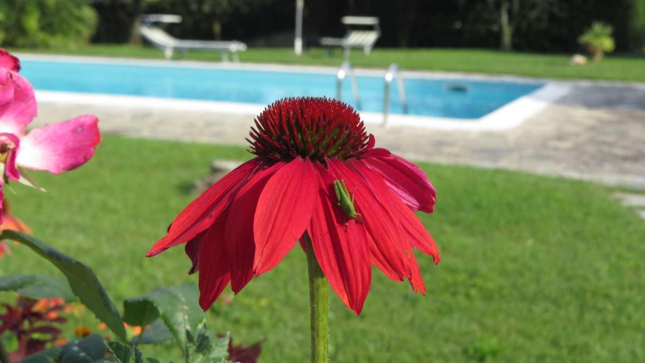 Il Gelso Di Barcuzzi Bed & Breakfast Лонато Екстериор снимка